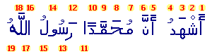 Ashadu ana Muhammadan rasûlu Llâh